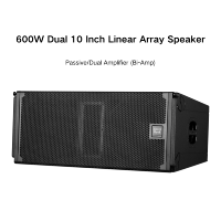 Système audio professionnel passif à deux voies avec deux enceintes passives de 10 pouces, enceintes line array