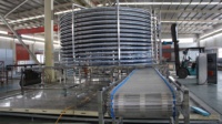 Hoge Efficiëntie Spirale Snelvriezer IQF Spirale Vriesapparatuur voor Voedselverwerkingsbedrijven