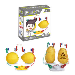 4 In 1 Fruit Energieopwekking Fysica Educatieve <span class=keywords><strong>Kit</strong></span> Eenvoudige Elektrische Circuit Experiment Speelgoed <span class=keywords><strong>Science</strong></span> <span class=keywords><strong>Lab</strong></span> <span class=keywords><strong>Kit</strong></span> Voor Kinderen - Product Image 4