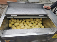 Volautomatische Voedselwinkel Dunschiller Cassave Gember Radijs Aardappelgroente Schoonmaken Fruit Tomaten Radijs Aardappelschilmachine