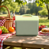 Glacière portable 15L pour boissons, avec poignée, en plastique, multifonction, idéale pour pique-nique, camping, champagne - Vente en gros