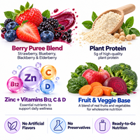 Complément alimentaire végétalien naturel OEM/ODM Super Berry Plant Protein à base de sureau, zinc, B12, C, D pour le soutien immunitaire et antioxydant, nutrition quotidienne