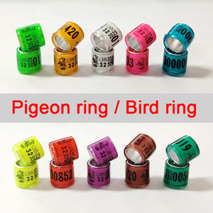 Duivenring Coat <span class=keywords><strong>Bands</strong></span> Andere Huisdierproducten Vogels <span class=keywords><strong>Racing</strong></span> Ring Voor <span class=keywords><strong>Belgium</strong></span> Groothandel Duivenvogel Ring India - Product Image 5