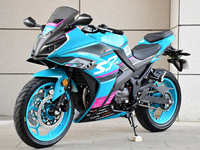 Moto confortable à essence 200CC avec une vitesse maximale de 115 km/h pour le fitness en plein air, les motos de rue Ninja, le motocross
