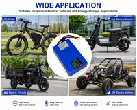 Pack de batteries au lithium personnalisé 12V 24V 36V 48V 60V 70V, batterie Li-ion rechargeable pour vélo électrique, scooter électrique, OEM ODM