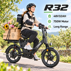 Bicicleta Eléctrica de Carga R32 de 18 Pulgadas y 750W, Bicicleta de Reparto de Largo Alcance, Fabricante Mayorista para Adultos - Product Image 1