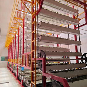 Grande ferme modulaire intégrée en conteneurs, automatisée et à entraînement par chaîne, conçue en usine pour l'agriculture urbaine - Product Image 1