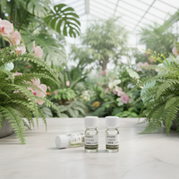 Huile parfumée à la lavande pure, naturelle et écologique, recharge longue durée pour diffuseur en bouteille