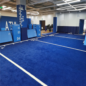 Tùy chỉnh mật độ cao phòng tập thể dục cỏ nhân tạo Mat với biểu tượng tùy chỉnh, mòn tập thể dục Turf - Product Image 5