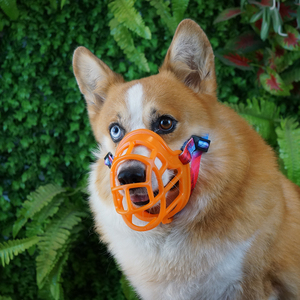 WL Empêche de mordre et de mâcher la couverture de bouche de cage de museau de <span class=keywords><strong>chien</strong></span> permet de boire et haleter utilisé avec le <span class=keywords><strong>collier</strong></span> - Product Image 3