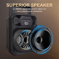 Portable extérieur sans fil BT haut-parleur Subwoofer HiFi musique Subwoofer stéréo Woofer TWS boîte auxiliaire personnelle