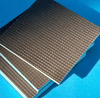 Panneau de support de carrelage XPS léger, imperméable et ignifuge, 10/12 mm, avec maille en fibre de verre et revêtement en ciment, pour murs de douche, salles de bain et cuisines