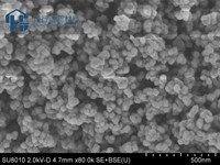 Nano Pentóxido de Niobio Nb2O5 99% 50nm Polvo Ultrafino Blanco Grado Industrial CAS 1313-96-8 para Aditivo de Vidrio Óptico