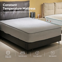 Kit de bien-être à domicile avec chambre à air douce et housse de matelas à circulation d'eau à double zone de température pour un sommeil de qualité