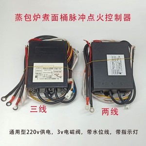 Encendedor de Pulso para Vaporera Comercial, Eléctrico de Acero Inoxidable 220V 800W con Función de Doble Encendido - Product Image 3