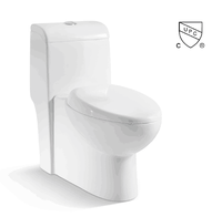 Vanité de salle De bain Wc Toilette Monobloc En Céramique Siphonique Toilettes Ensemble