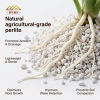 Perlite expansée à haute porosité, pH neutre, pour l'aération des racines, l'équilibre de l'humidité et la croissance durable des plantes dans les jardins et les pépinières