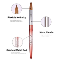 Ensemble professionnel de pinceaux à ongles en plastique souple pour manucure, dégradé, avec manche métallique, extension, sculpture, stylo à cristaux, acrylique, Kolinsky