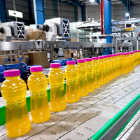 Machine de remplissage et de bouchage automatique personnalisée pour bouteilles en plastique de jus de fruits, petite échelle, 3 en 1 - Prix