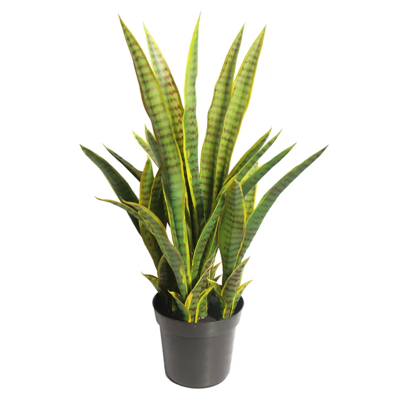 Sansevieria Trifasciata Tiger Piran กล้วยไม้,ไม้บอนไซประดิษฐ์ทำจากพลาสติกสำหรับตกแต่งบ้าน