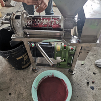 Extracteur de jus en spirale pour pastèque, pomme, mangue, carotte, avec moteur à pompe, en acier inoxydable 304, haute capacité 500-3000 kg/h, pour aliments