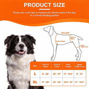 Attelle orthopédique pour genou de chien, protège-jambe arrière avec stabilisateur à charnière réglable, boucle rapide, néoprène, pour déchirure du ligament croisé avant, entorse - Product Image 4