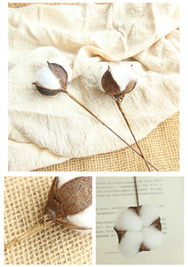 KEWEI 680 Golden Supplier Artificial Natural Dried Flower <strong>Cotton</strong> Dried <strong>Cotton</strong> <strong>Stems</strong> Natural Flower - Product Image 6