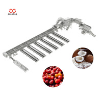 Gelgoog Palm Kernel Sorteermachine voor het sorteren van kersentomaten, fruitgrootte sorteren en kalibreren, machine voor het sorteren van fruit op grootte
