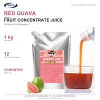 Jus Concentré en Purée en Gros – Carton de 12 Sacs de 1kg – 10 Saveurs – MOQ 65 Cartons pour Distributeurs