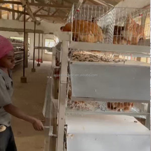 El krank yumurta tavuk kafesi gübre temizleme pil kafesleri sıcak satış h tipi kanatlı çiftlik tasarım düzeni kafes satılık gana - Product Image 6
