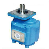 Venta Caliente de Bombas de Engranajes Rotatorios Hidráulicos de Hierro Fundido Serie CBG, CBZ: CBG1, CBG2, CBG3, CBZ1, CBZ2, CBZ3