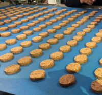Machine de dépôt de biscuits, 5 pièces, en acier inoxydable, PLC