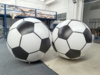 BOYI BOYI Cible de football gonflable en PVC pour tir au but et jeu de fléchettes, pour sport en extérieur