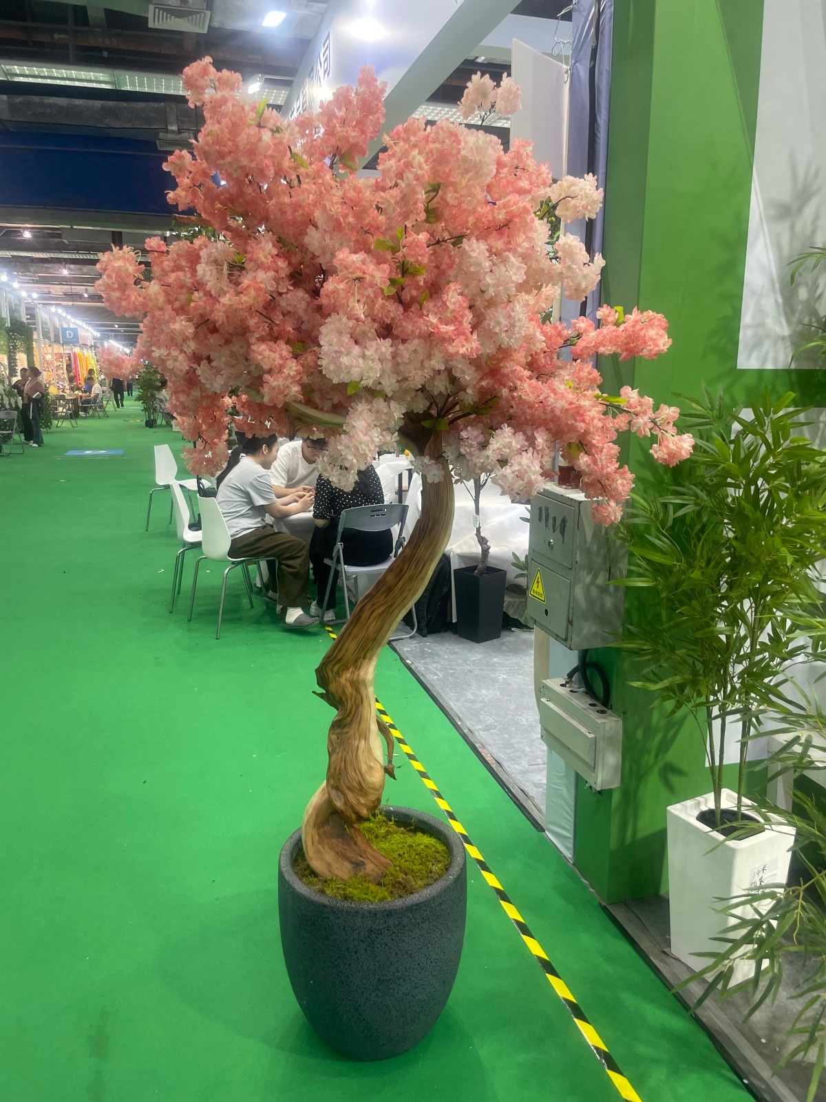 Large Outdoor Artificial Bonsai Tree UV Certified Plastic Faux Cherry  Blossom Sakura Bonsai for Birthday Occasions on Sale| Alibaba.com