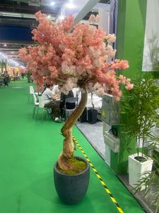 Grand Bonsaï Artificiel d'Extérieur <span class=keywords><strong>en</strong></span> Plastique Certifié UV Faux Fleur <span class=keywords><strong>de</strong></span> Cerisier Sakura Bonsaï pour les Occasions d'Anniversaire <span class=keywords><strong>en</strong></span> Vente - Product Image 3