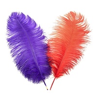 Plumes d'Autruche 40-45 cm En Gros, Colorées Blanches, Grandes Plumes pour Robes de Soirée et de Mariage, Décoration de Chapeau