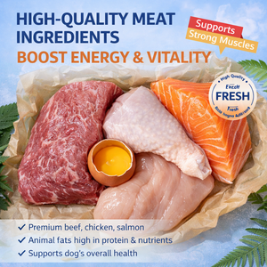 Produttore di Cibo Secco per Cani ad Alto Contenuto Proteico in Cina, Fornitore all'Ingrosso per Distributori e Marchi - Product Image 2