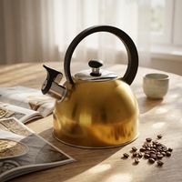 Bouilloire sifflante à fond plat en acier inoxydable de haute qualité théière de capacité de 2.5L pour un usage domestique fond à induction Design moderne