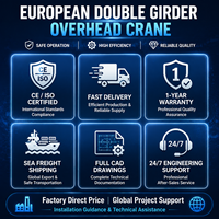 Grúa Puente Europea de Doble Viga FEM de 3m y 125 Toneladas con Polipasto Cerrado - Venta Global de Fábrica