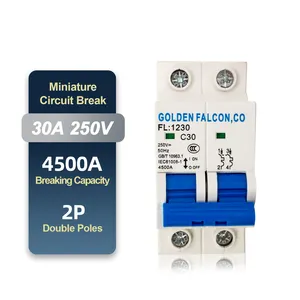 Interruptor MCB inteligente de doble Polo, miniinterruptor de circuito en miniatura de 30A y 250V