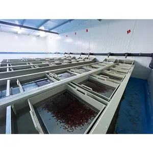 Sistema ras incubadoras de ovos de peixes tilápia equipamentos de aquicultura tanques para sistema de piscicultura interno/incubação de peixes equi