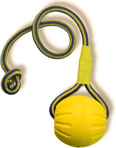 Jouets en corde pour chien en EVA multicolores, durables et écologiques, pour l'entraînement à la mastication, vente en gros d'usine, OEM/ODM disponible - Product Image 5