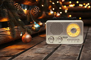 Redwingy <span class=keywords><strong>M</strong></span>-1231BT ancien design Radio FM AM SW Radio 3 bandes extérieure multibande DC 3V Type C USB Charge Radio BT Haut-parleur - Product Image 5
