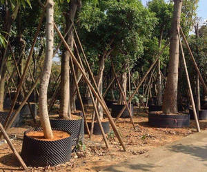 Устройство для контроля корней - Product Image 5