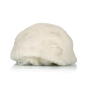 Fabrika fiyat doğal karde merinos penye koyun yünü satılık