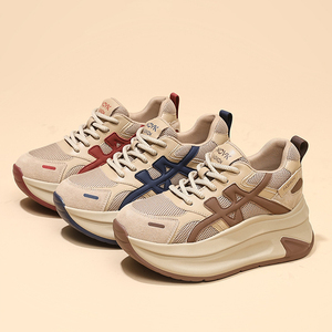 Nuevas llegadas Primavera 2026: Zapatos casuales de mujer con tacón elevado, suela gruesa, estilo retro, transpirables, de malla, tipo Dad Shoes - Product Image 6