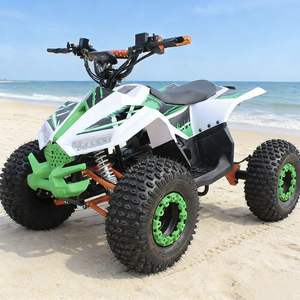 Kart <span class=keywords><strong>électrique</strong></span> tout-terrain 48V 500W 20AH pour plage, montagne et route, vitesse maximale de 60 km/h, capacité de charge de 200 kg - Product Image 2