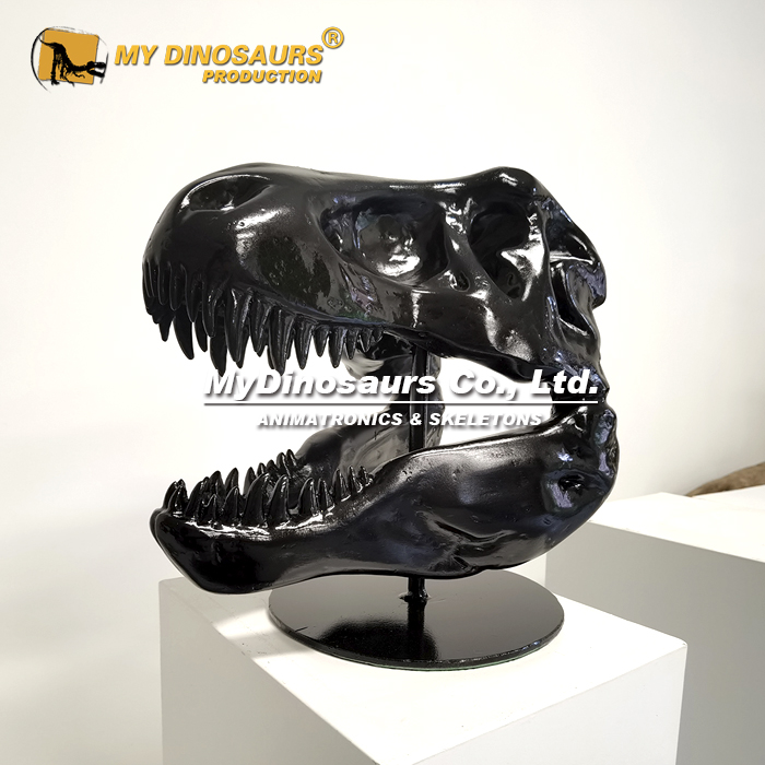 カルノタウルス 骨格模型 恐竜 1/4 カルノタウルス 骨格模型 恐竜 1/4 - メルカリ