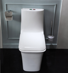 โถสุขภัณฑ์ ARROW รุ่น Modern One Piece แบบ Dual-Flush เซรามิก ชนิด S-trap สำหรับห้องน้ำสาธารณะ พร้อมฝารองนั่งแบบปิดนุ่มนวล - Product Image 5
