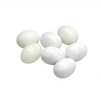 Œufs de remplacement réutilisables en plastique solide pour l'élevage extérieur de volailles Geshifeng, simulation d'oiseaux, vente en gros